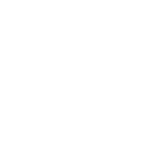 Digilogics Hecho en Mexico